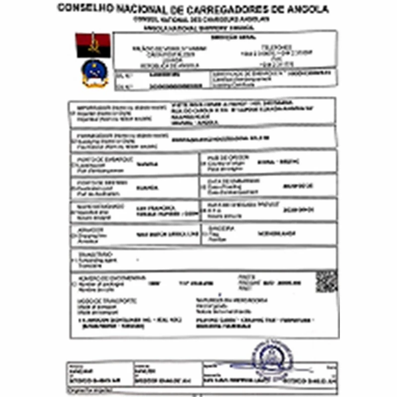 conselho-nacional-de-carregadores-de-angola