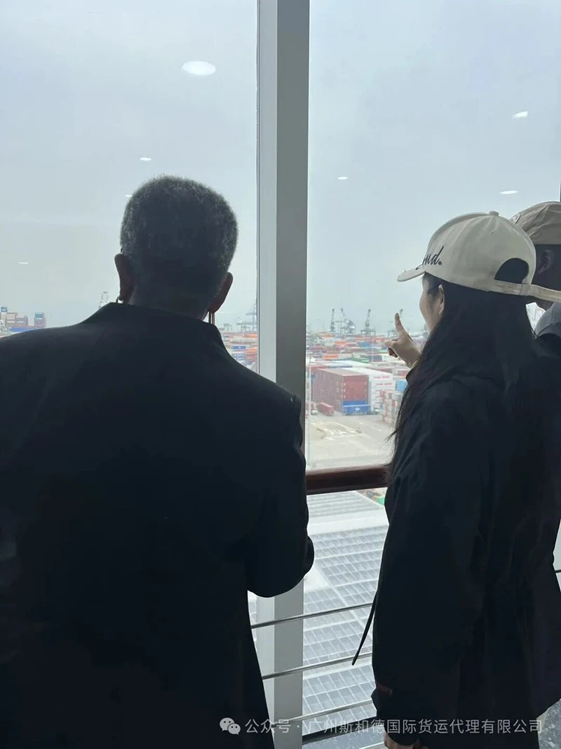 logistics-experts-discussing-transport-plan